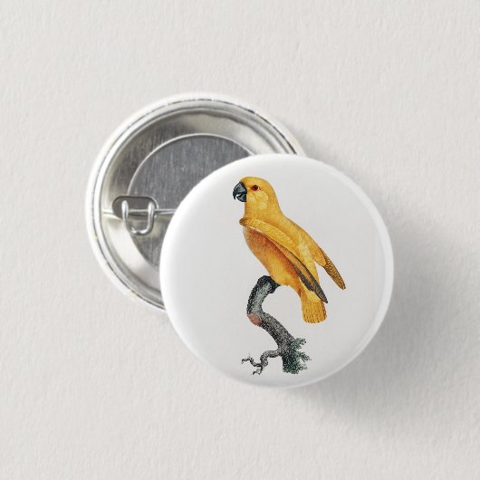 Senegal Parrot Ronde Button 3,2 Cm (Voorkant /achterkant)