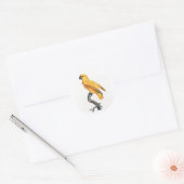 Senegal Parrot Ronde Sticker (Envelop)