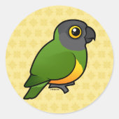 Senegal Parrot Ronde Sticker (Voorkant)