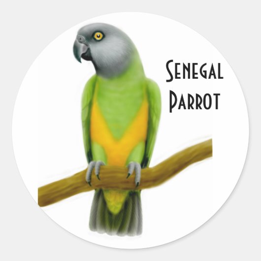 Senegal Parrot Sticker (Voorkant)