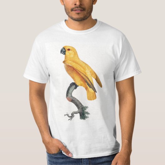 Senegal Parrot T-shirt (Voorkant)