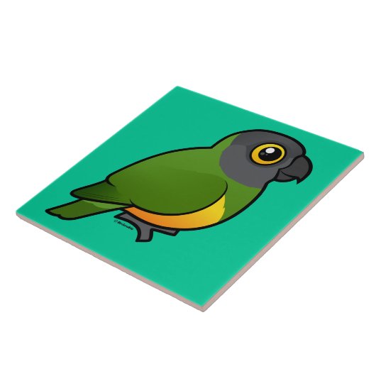 Senegal Parrot Tegeltje (Zijkant)