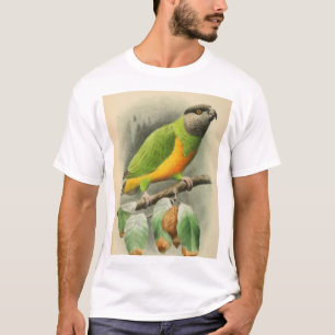 Senegal Parrot, volwassen man T-shirt