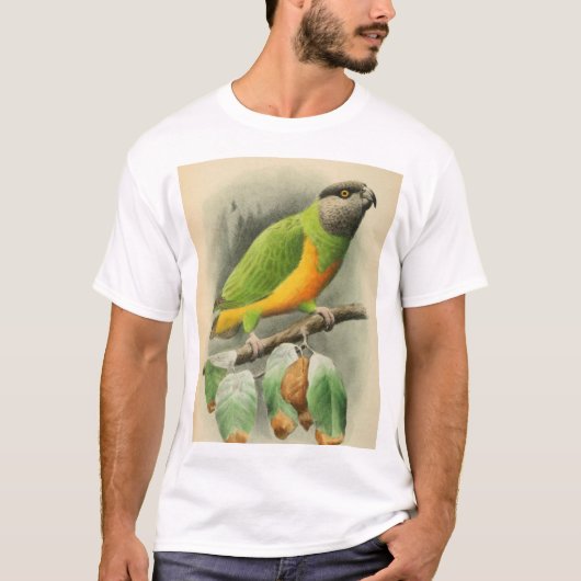 Senegal Parrot, volwassen man T-shirt (Voorkant)
