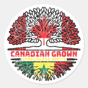 Senegal Senegalese Canadese vlag over boomstammen  Ronde Sticker