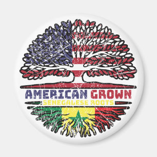 Senegal Senegalese VS-VS Verenigde Staten Magneet