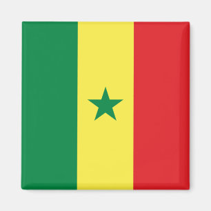 Senegalese vlag magneet