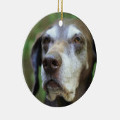 Senior German Pointer ornament (Rechts)