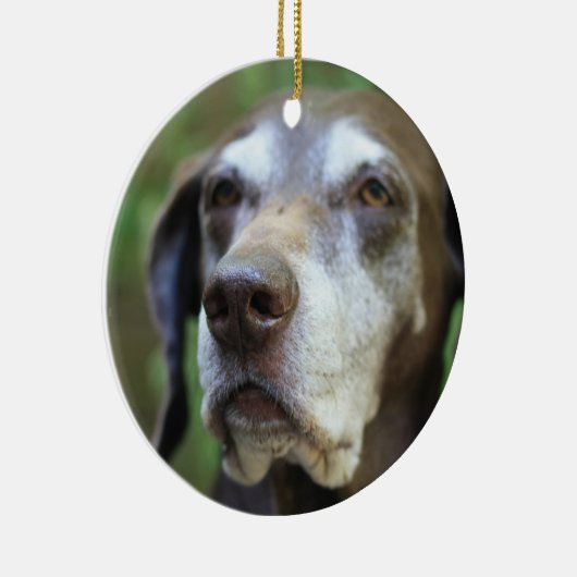 Senior German Pointer ornament (Rechts)