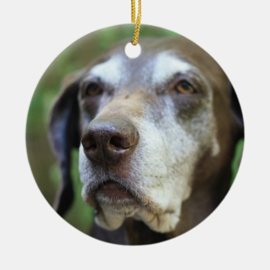 Senior German Pointer ornament (Voorkant)