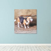 Senior huisdier Beagle, Daisy Elizabeth maakt een Canvas Afdruk (Insitu (Houten vloer))