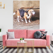Senior huisdier Beagle, Daisy Elizabeth maakt een Canvas Afdruk (Insitu (Woonkamer))