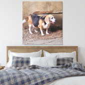 Senior huisdier Beagle, Daisy Elizabeth maakt een Canvas Afdruk (Insitu (Slaapkamer))