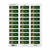 Senior Korting! labels stickers Oude Redwoods (Full Sheet)