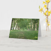 Senior Row Trees Bryn Mawr Kaart (Gele Bloem)