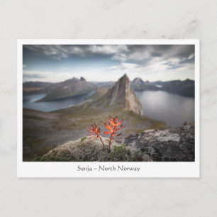Senja Noorwegen Briefkaart
