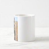 Senor Burro-podium links Koffiemok (Center)