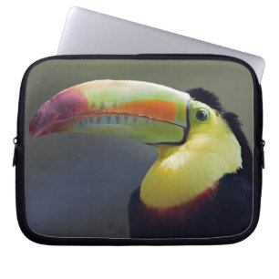 Senor Tuco Laptop Hoes