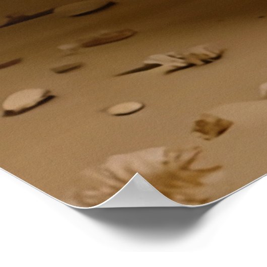 Senora Poster (Hoek)