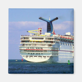 sensatiestern magneet