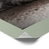 Sensationeel Siberisch Cat Poster (Hoek)