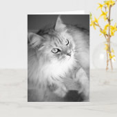 Sensationele Siberische Blank Kaart (Gele Bloem)