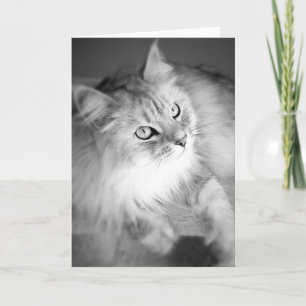 Sensationele Siberische Blank Kaart