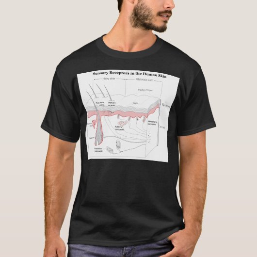Sensorische receptoren in het huiddiagram bij de m t-shirt (Voorkant)