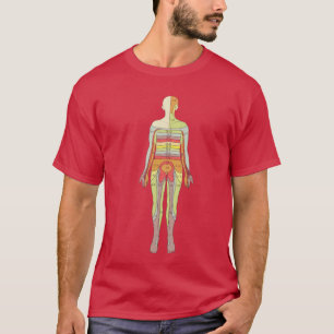 Sensory Dermatome Anatomy Neurology Medical T-Shir T-shirt
