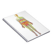 Sensory Dermatomes Neurology Notitieboek (Rechterzijde)