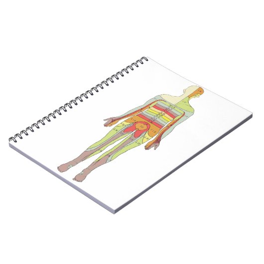 Sensory Dermatomes Neurology Notitieboek (Linkerzijde)