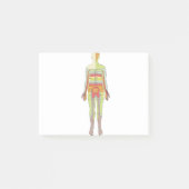 Sensory Dermatomes Neurology Post-it® Notes (Voorkant)