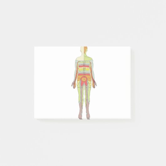 Sensory Dermatomes Neurology Post-it® Notes (Voorkant)