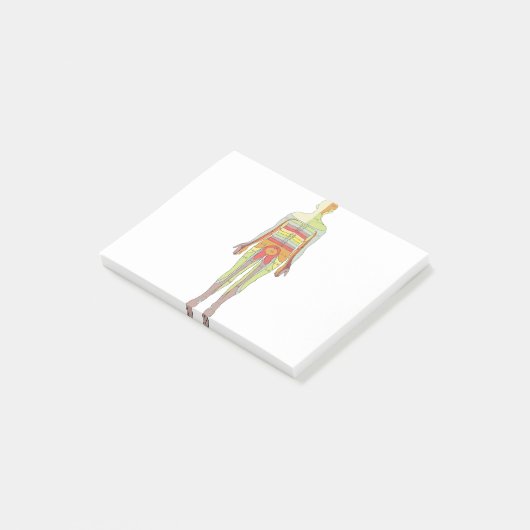 Sensory Dermatomes Neurology Post-it® Notes (Schuin)