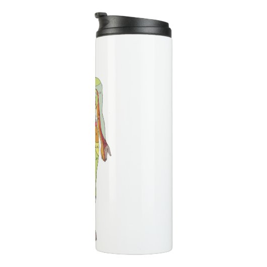 Sensory Dermatomes Neurology Thermosbeker (Geroteerd rechts)