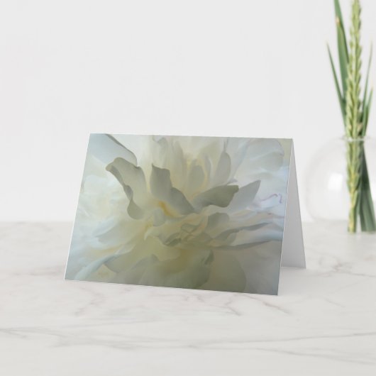 Sensual Delight AH2010 Kaart (Voorkant)