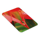 Sensual, Red Petals with Dew, Sexy Flower Magneet (Rechterzijde)