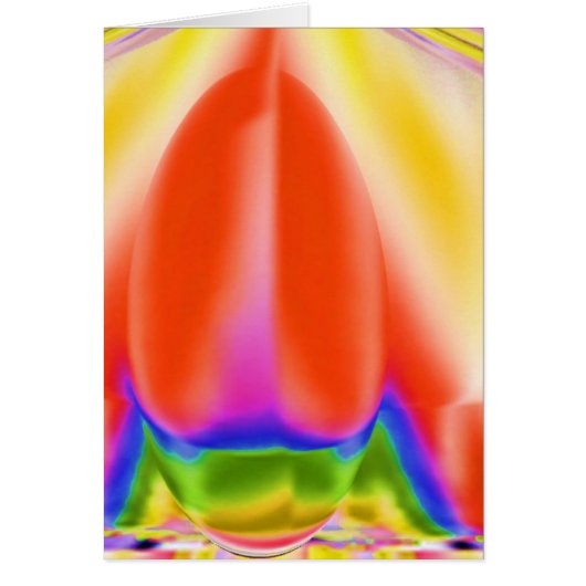 Sensual Roos Bud (Voorkant)