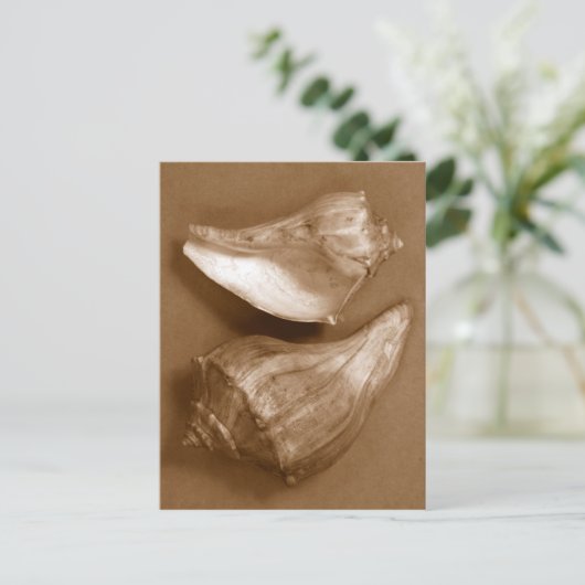 Sensual Shells Briefkaart (Staand voorkant)