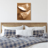 Sensual Shells Canvas Afdruk (Insitu (Slaapkamer))