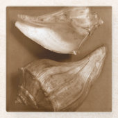 Sensual Shells Glazen Onderzetter (Voorkant)