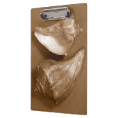 Sensual Shells Klembord (Links)