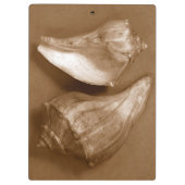 Sensual Shells Klembord (Achterkant)