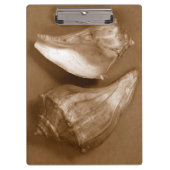 Sensual Shells Klembord (Voorkant)