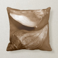 Sensual Shells