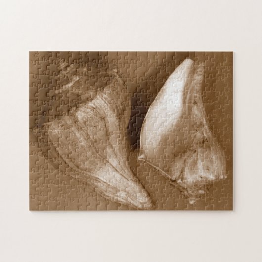 Sensual Shells Legpuzzel (Horizontaal)