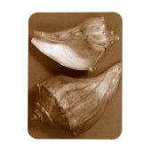 Sensual Shells Magneet (Verticaal)