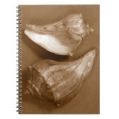 Sensual Shells Notitieboek (Voorkant)