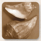 Sensual Shells Onderzetter (Voorkant)