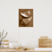 Sensual Shells Poster (Keuken)